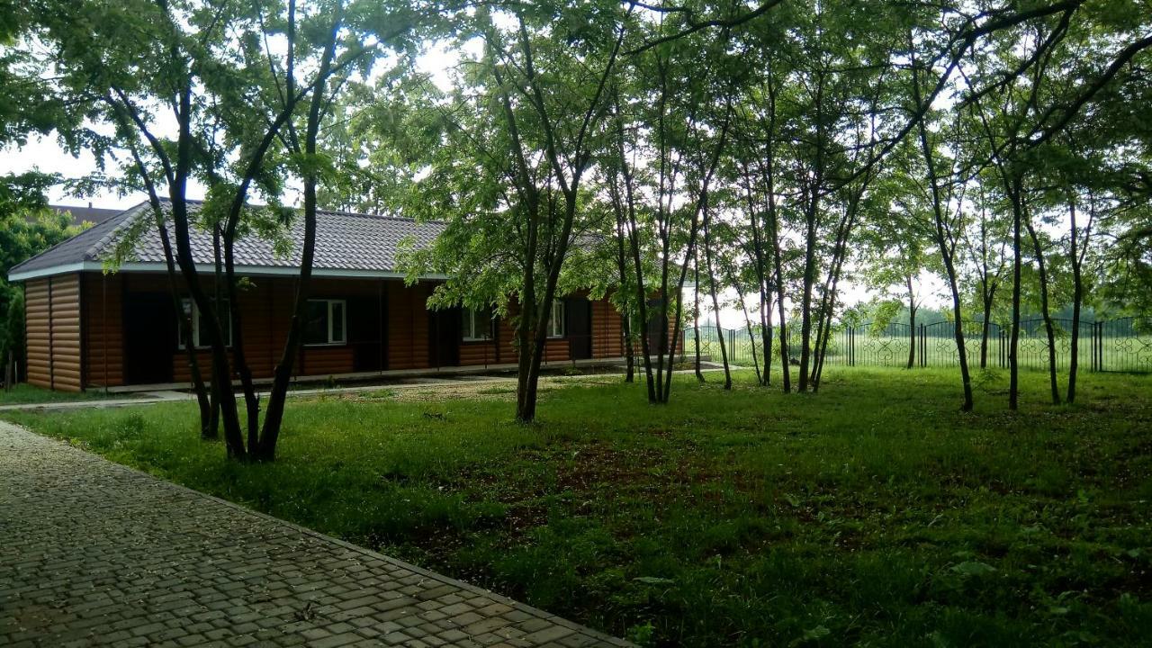 Отель "Лагита" 谢尔盖耶夫卡 外观 照片